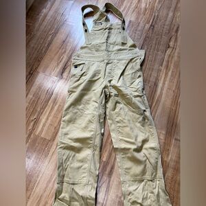 Patagonia Women's All Seasons Bib Work Overalls